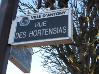 Dans les années 1920 et 1930, un lotisseur privé a décidé de l'appellation des rues du quartier des Fleurs. Le bâtisseur y a vu l'occasion d'insuffler une identité à cette zone aux abords de la place de Lewisham