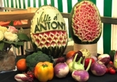 Retour sur le Village Nature et Environnement 2011