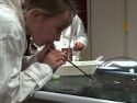 Club scientifique municipal