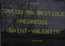 Saint-Valentin &agrave; Antony
