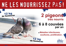 Affiche de la campagne contre les pigeons