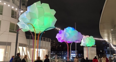 [INSTANT PRO] Mad Rhizome ou la lumière reine dans la ville