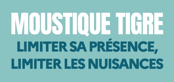 Lutter contre les moustiques tigres