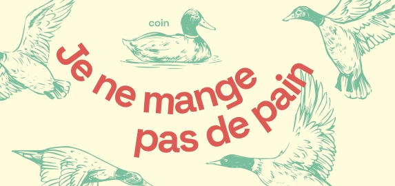 Canards en ville : les gestes à adopter