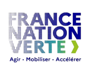 fond vert