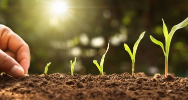 Jardin partagé : de nouveaux ateliers de coconstruction en octobre