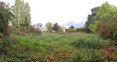 Des jardins familiaux fleurissent à l'Aubépine