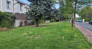 Graine de liens : Jardin partagé