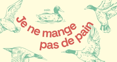 Canards en ville : les gestes à adopter