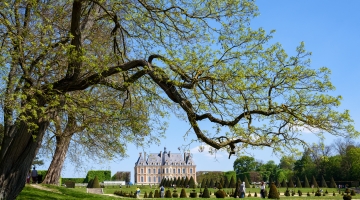  Pokémon Go Fest 2025 au Domaine de Sceaux