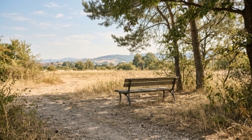 S&eacute;cheresse : appel &agrave; la vigilance dans les parcs et espaces verts