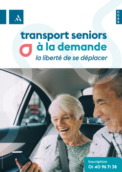 flyer transport seniors