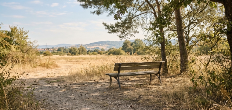 S&eacute;cheresse : appel &agrave; la vigilance dans les parcs et espaces verts