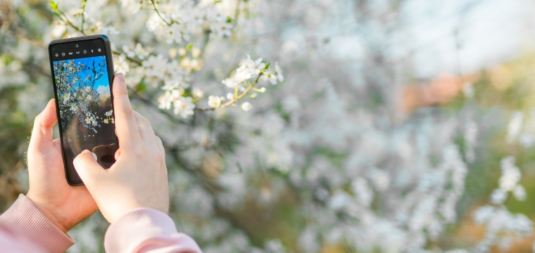 Concours photo : tentez d&rsquo;&ecirc;tre expos&eacute; lors de la Journ&eacute;e des Europ&eacute;ens !&nbsp;