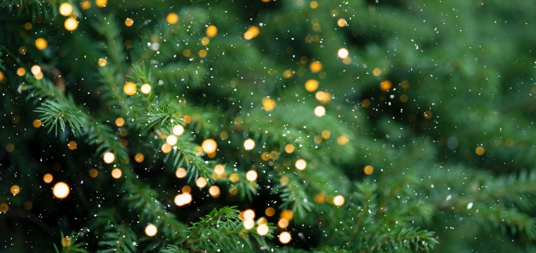 Fermeture anticip&eacute;e des CML les 24 et 31 d&eacute;cembre