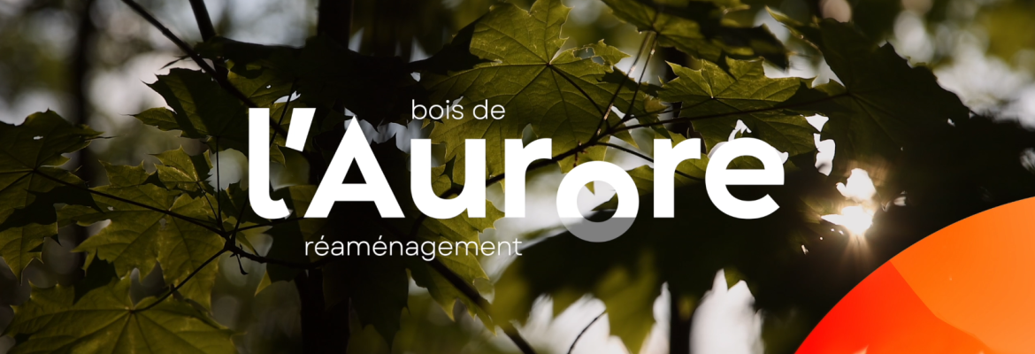 reamenagement du bois de l aurore suivez le projet a travers notre webserie ville d antony