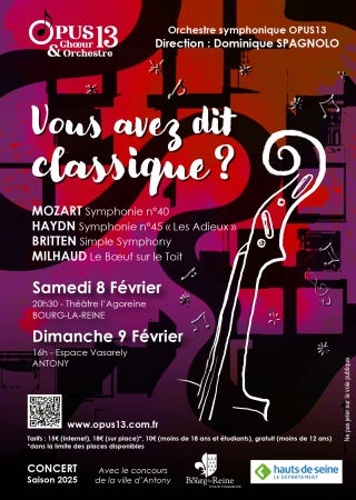 Opus 13