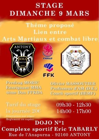 arts martiaux