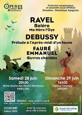 affiche Opus 13