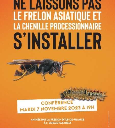 chenille frelon