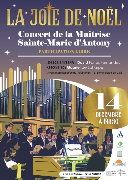 Affiche la joie de noel