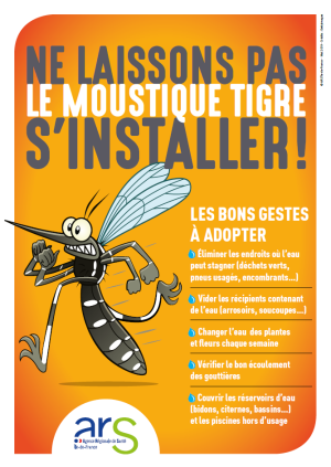 Moustique tigre