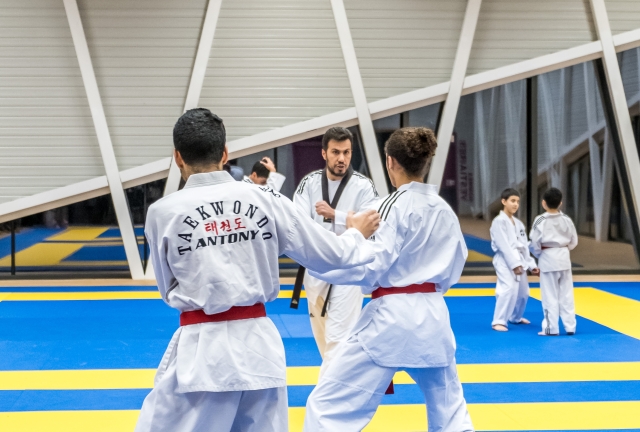 Taekwondo