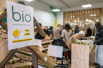 Ma p&apostite échoppe