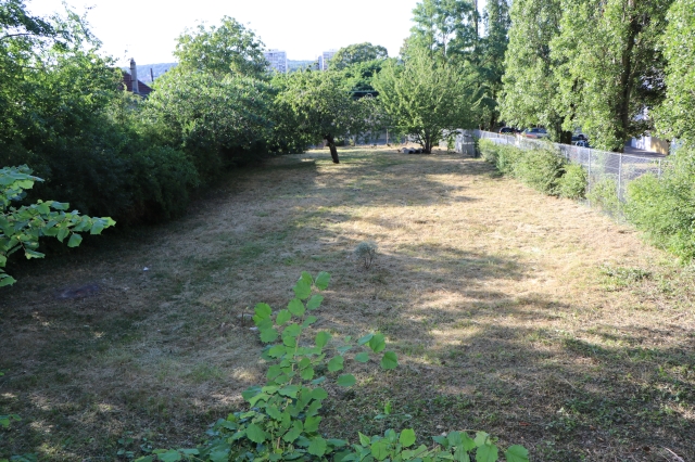 Jardin partagé